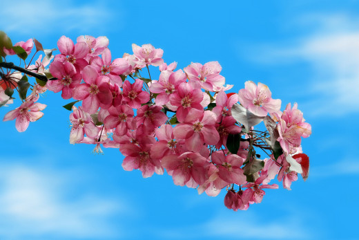 796021 (a): :1920x1281